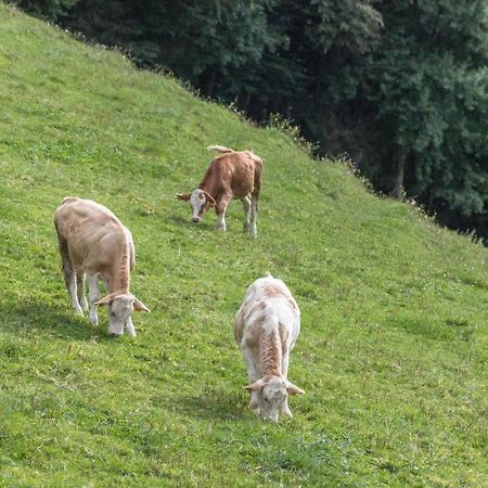 Ferienwohnung Oberrissglueck Schliersee Kültér fotó