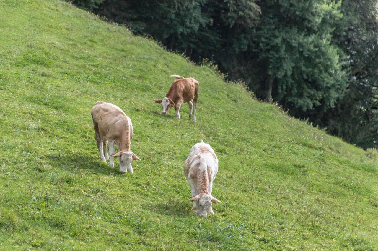 Ferienwohnung Oberrissglueck Schliersee Kültér fotó